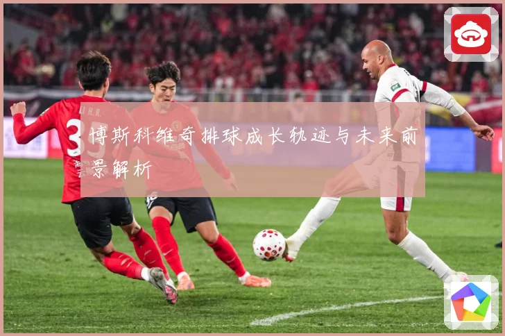 博斯科维奇排球成长轨迹与未来前景解析