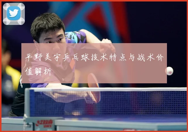 平野美宇乒乓球技术特点与战术价值解析