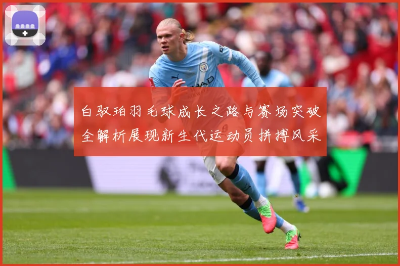 白驭珀羽毛球成长之路与赛场突破全解析展现新生代运动员拼搏风采与潜力